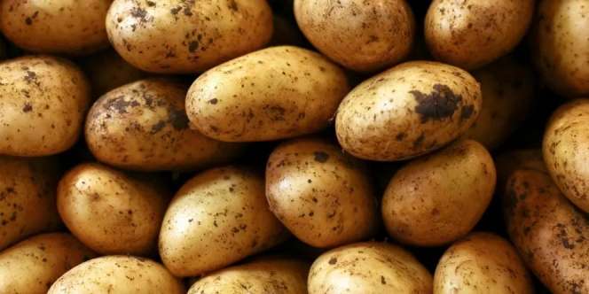 Bosen Sama French Fries? Ini nih, Varian Olahan Kentang yang Gak Kalah Endul