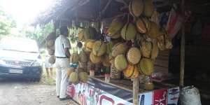 Penjual Durian Khas Mojokerto Ini Raup Keuntungan hingga Rp16 Juta Tiap Hari