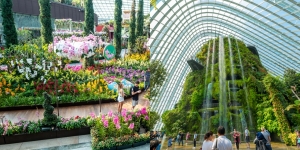 Manjakan Mata dengan Keindahan Alam di Gardens by the Bay Singapore