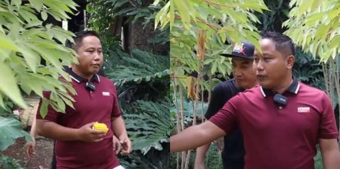 Jadi Petani, Ini 15 Potret Kebun Sayur Narji yang Cukup Luas Ditanami Terong Singkong Hingga Ubi Jalar