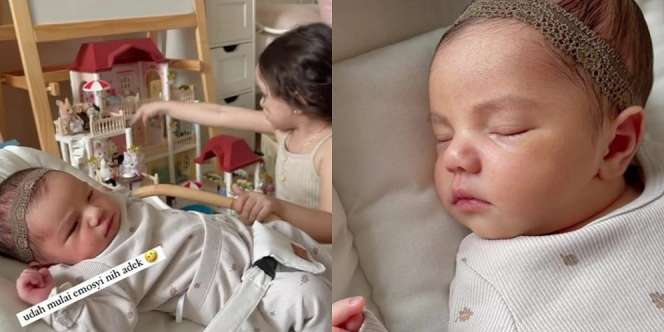 Ini Potret Baby Shakira Anak Hamidah Rachmayanti yang Lahir Saat Maternity Shoot, Paras Cantiknya Saingi Kakaknya