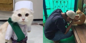 Pakai Busana Muslim Sampai Ikut Sungkeman, Begini 14 Potret Lucu Kucing Waktu Rayakan Lebaran