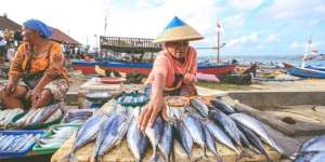 7 Cara Memilih Ikan Segar dan Sehat untuk Dikonsumsi, Jangan Sampai Keliru