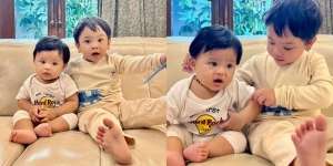 Deretan Potret Baby Ameena dan Gala Sky Play Date Bareng, Seru Banget Sampai Ikut TikTokan