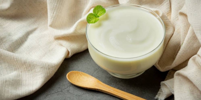 5 Cara Membuat Yogurt Sendiri dari Yakult dan Susu UHT yang Praktis dan Mudah Dibuat
