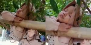 Viral Video Anak Perempuan Tertidur Lelap di Atas Pohon, Aksinya Bikin Netizen Heran dan Geleng-geleng Kepala