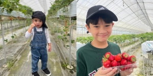 10 Potret Gemas Rafathar dan Rayyanza Panen Strawberry di Jepang, Kakak Adik Gantengnya Saingan Nih!