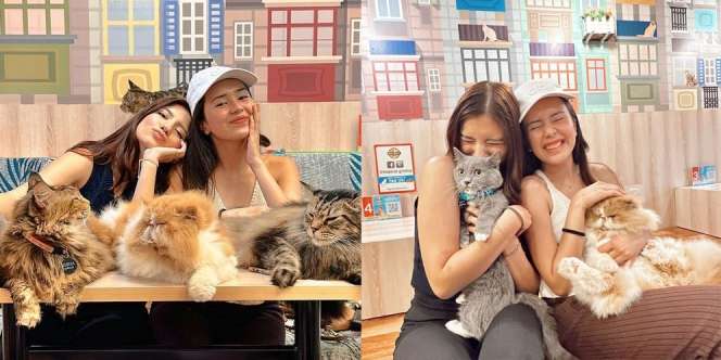 Akhirnya Ngumpul Lagi, Ini Potret Persahabatan Cassandra Lee dan Beby Tsabina yang Seru-seruan Main Kucing Bareng