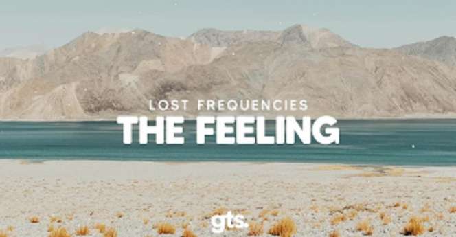 Lirik Lagu The Feeling - Lost Frequencies