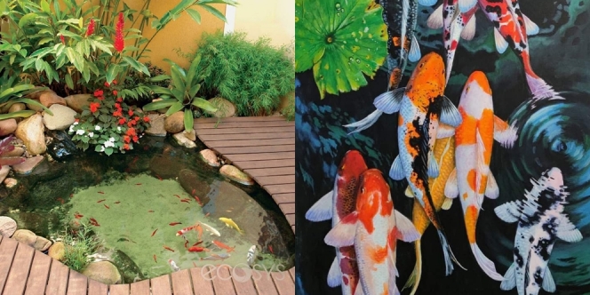20 Kolam Ikan Minimalis dengan Desain yang Unik dan Bikin Adem Suasana Rumah