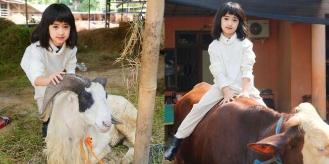 Main Bareng Hewan Qurban, Ini Potret Khadeejah Anak ke-2 Oki Setiana Dewi yang Berani Naik Sapi Sampai Kasi Makan Kambing