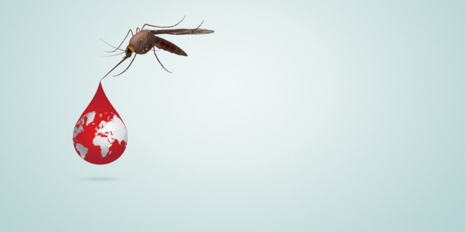 Mengenal Anopheles, Nyamuk Penyebab Penyakit Malaria dan Cara Pencegahannya