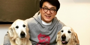 Ogah Wariskan Kekayaannya Untuk Anak, Jackie Chan Bakal Sumbangkan Seluruh Hartanya ke Yayasan Amal