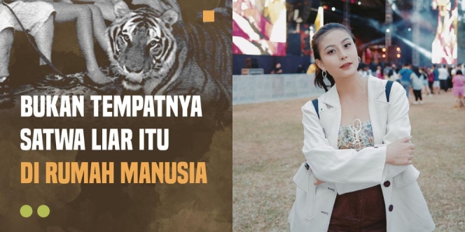 Awkarin Sentil Alshad Ahmad Perihal Kematian Bayi Harimau: Bukan Tempatnya Satwa Liar Itu di Rumah Manusia! 