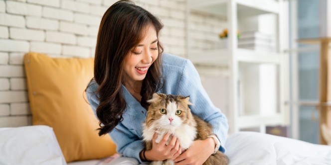 Orangnya Protektif, Ini 5 Sifat dan Kepribadian Pecinta Kucing 