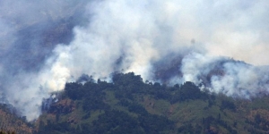 Gunung Sumbing Terjadi Kebakaran karena Puntung Rokok, Pendakian Ditutup