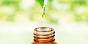 Memahami Definisi, Manfaat dan Kandungan Bio Oil untuk Perawatan Kulit! 