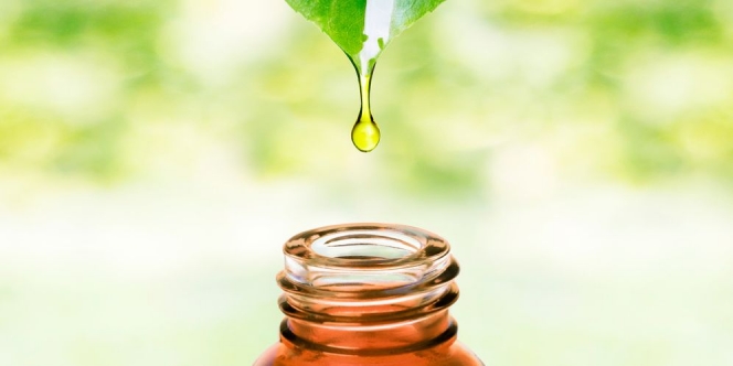 Memahami Definisi, Manfaat dan Kandungan Bio Oil untuk Perawatan Kulit! 