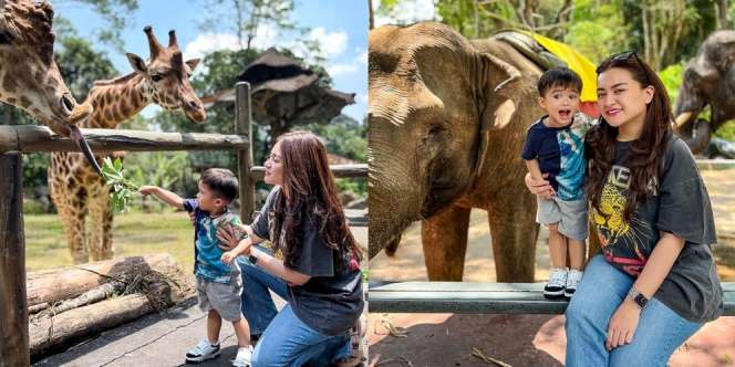 Potret Nathalie Holscher Ajak Adzam ke Taman Safari, Ekspresi Gemas dan Wajah Gantengnya Jadi Perbincangan