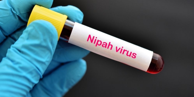 Mengenal Virus Nipah, Fakta, Gejala, hingga Pecegahannya