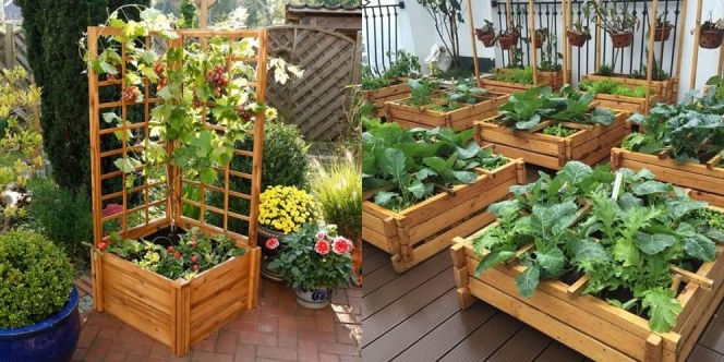 10 Ide Kreatif Membuat Kebun Sayur Di Pekarangan Rumah Dari Kayu Sampai