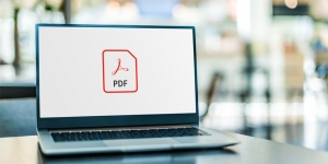 Ngedit Dokumen PDF Susah? Ini 5 Cara Ubah PDF Menjadi Word