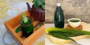 7 Resep Jus Pandan Suji untuk Pewarna Alami Hidangan yang Serbaguna, Bikin Masakan Makin Cantik