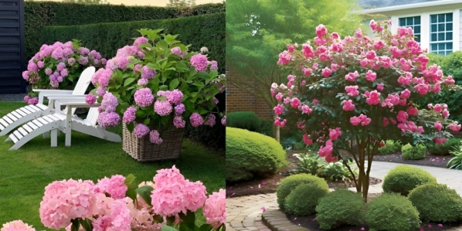10 Tanaman Bunga Cantik untuk Taman Minimalis yang Bikin Pekaranganmu Asri dan Berseri