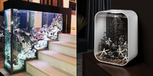 10 Aquarium Minimalis Unik dan Menarik, Bikin Hunian Jadi Lebih Memikat
