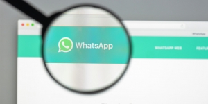 Cara Ganti Nomor WhatsApp tanpa Menghilangkan Chat, Simak Juga Tips Backup Chat yang Mudah