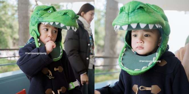 Gemoy Maksimal, Ini 9 Potret Cipung kenakan Kepala Dino di Tokyo Disneyland