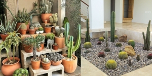 8 Inspirasi Desain Taman Kaktus Minimalis yang Bagus, Hiasi Hunian dan Mudah Dirawat!