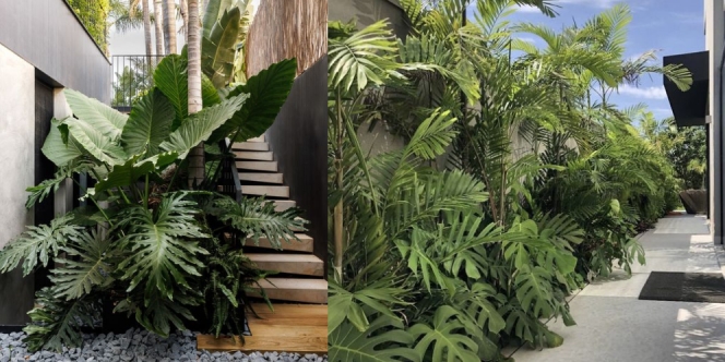 Asrinya 8 Desain Taman Tropis Minimalis Ini, Bikin Hunian Jadi Makin Adem!