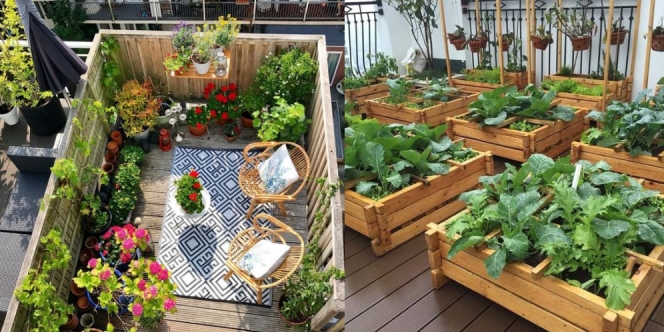 Mudah Diikuti, Ini 8 Ide Mini Garden di Atas Rumah yang Simpel Tapi Cantik!