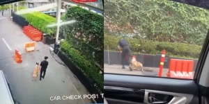 Viral Satpam Plaza Indonesia yang Terekam Pukul Anjing, Ternyata Untuk Selamatkan Anak Kucing
