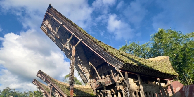 Tongkonan, Rumah Adat Toraja yang Khas Banget dengan Struktur Atap Melengkungnya