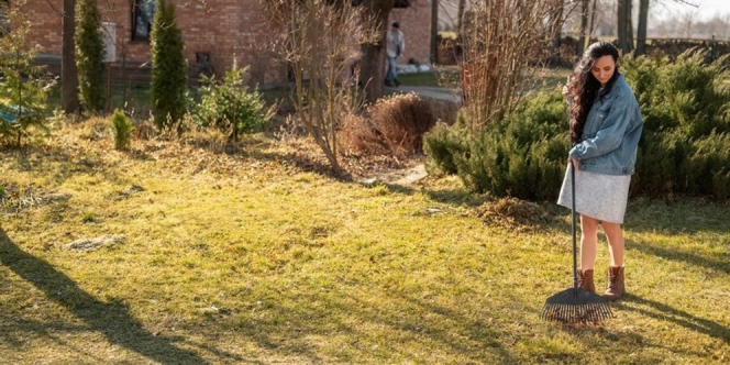 10 Cara agar Rumput Tidak Tumbuh Lagi, Halaman Selalu Bersih dan Indah