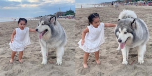 Tingkah Gemas Xarena Anak Siti Badriah saat Minta Foto bareng Anjing Besar, Ekspresinya Lucu Banget!