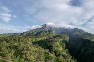 Avoskin Trail Run: Lari Sehat, Hati Damai, Bumi Bahagia