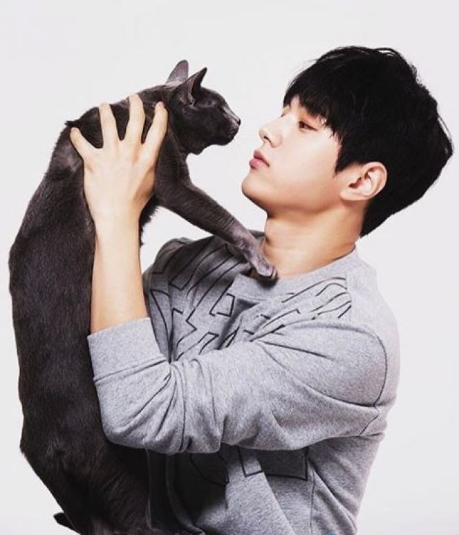 Mulai dari Heechul SUJU sampai Kang Daniel, 9 Idol Cowok Ini Ternyata Seorang Cat Lovers!