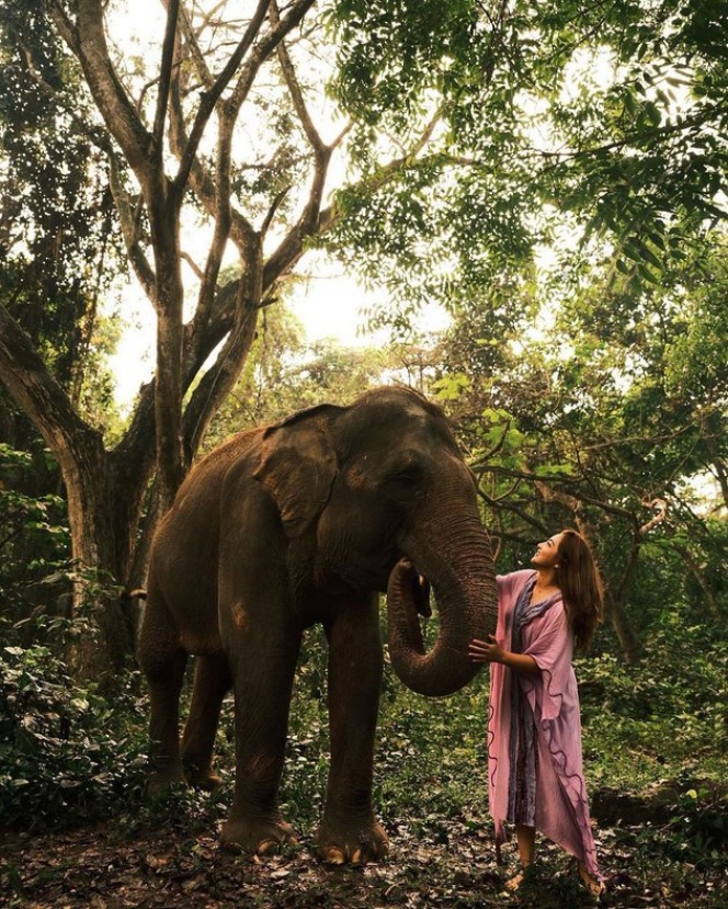 Lagi Liburan di Bali, Ini Potret Ashanty Bareng Gajah yang Kelihatan Akrab Banget!