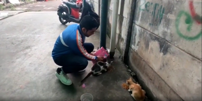 Ganteng dan Bikin Meleleh, Ini 10 Potret Robby Purba Kasih Makan Kucing Liar di Jalanan