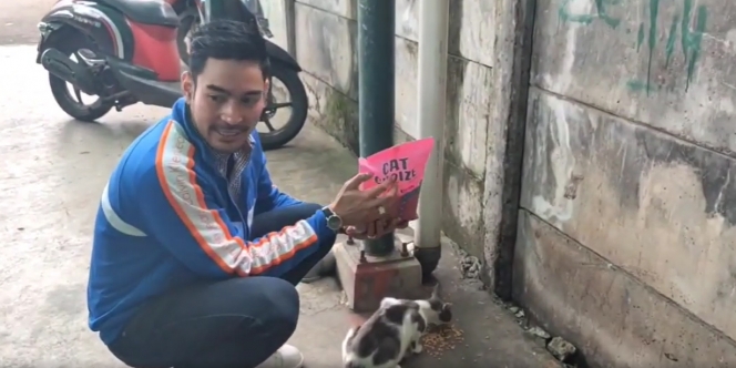 Ganteng dan Bikin Meleleh, Ini 10 Potret Robby Purba Kasih Makan Kucing Liar di Jalanan