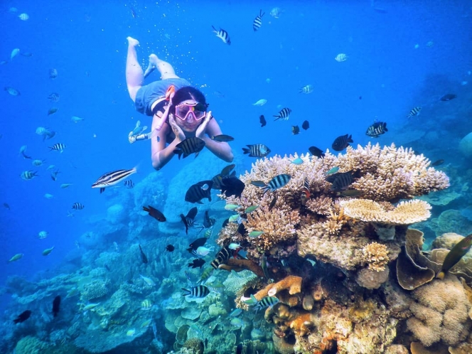 Kepulauan Togean Hingga Morotai, Ini 10 Destinasi Surga Bawah Laut Indonesia yang Memukau