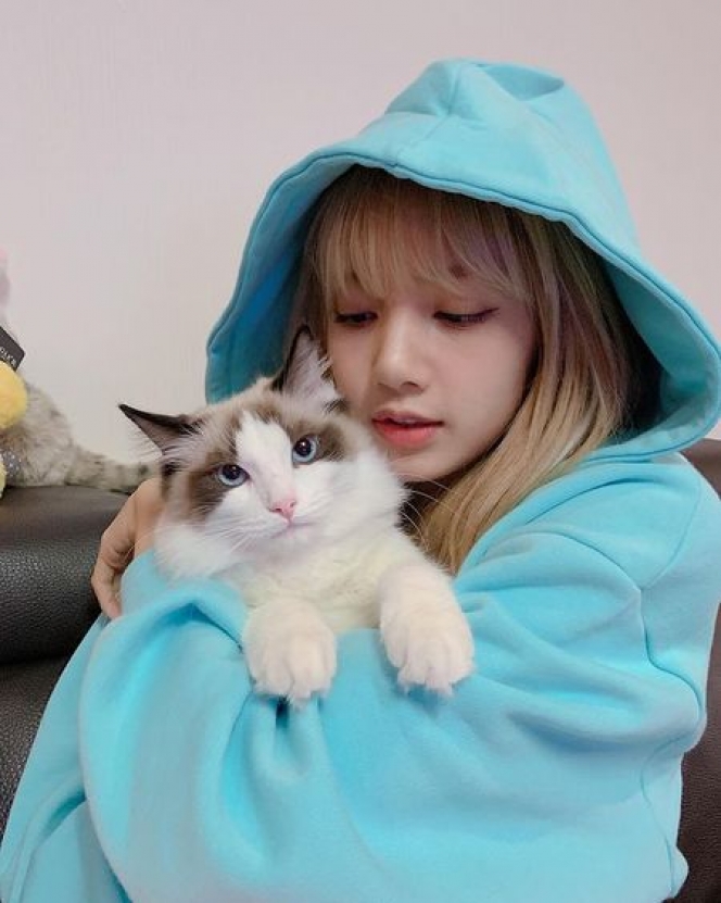 Sama-Sama Gemesin, Ini Potret Manis Lisa BLACKPINK Bersama Kucing Kesayangannya