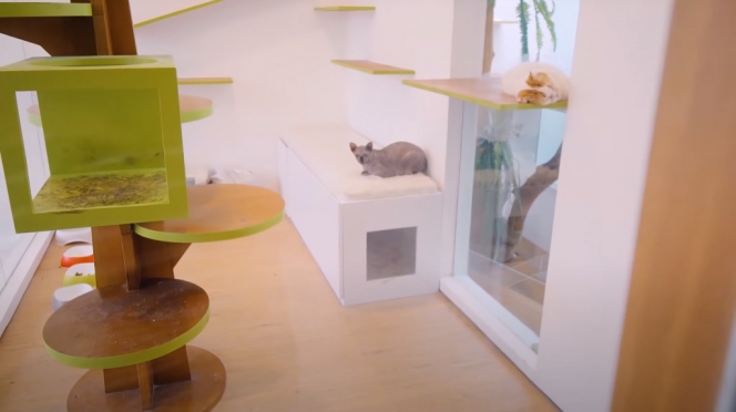 Potret Rumah Raditya Dika yang Baru Direnovasi, Tempat Mainan Kucing Jadi Sorotan