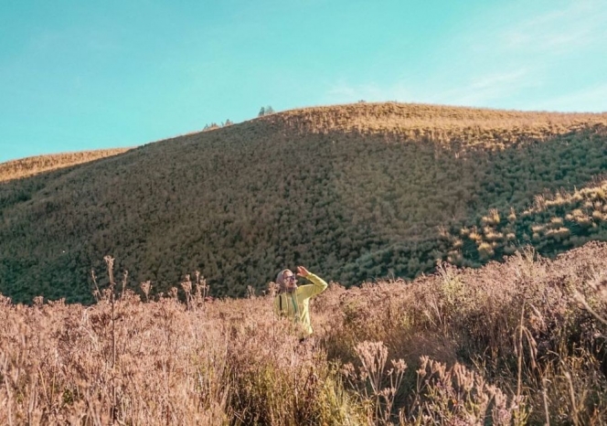 8 Spot Estetik di Sekitaran Gunung Semeru, Cocok Buat Kamu yang Hobi Main ke Alam!