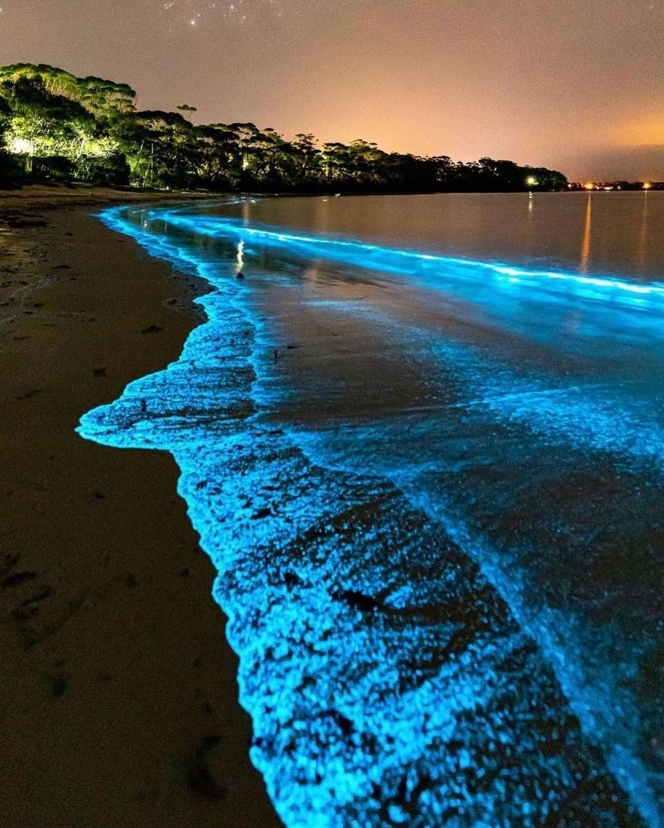Bikin Takjub, Ini Potret Pantai Glow In The Dark yang Ada di Jervis Bay