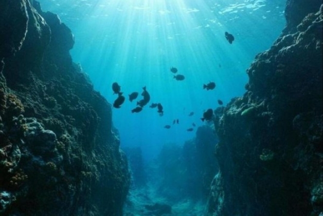 Sulit Terjamah Manusia, Ini 7 Palung Laut Terdalam yang Ada di Indonesia