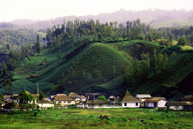 Menyusuri 7 Desa Tertinggi yang Ada di Indonesia, Tingginya Melebihi 1000 mdpl